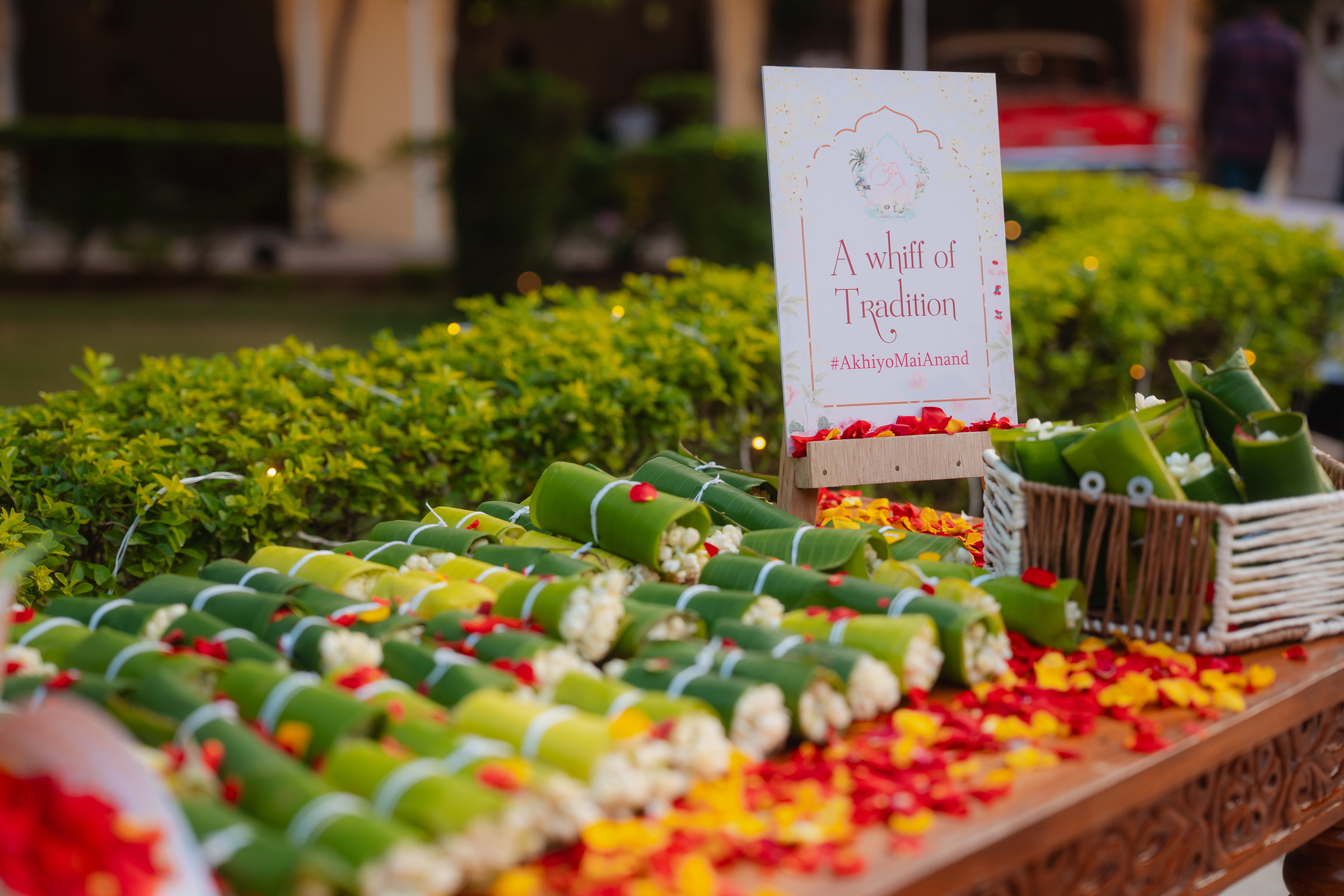 Image from Akhila Anand